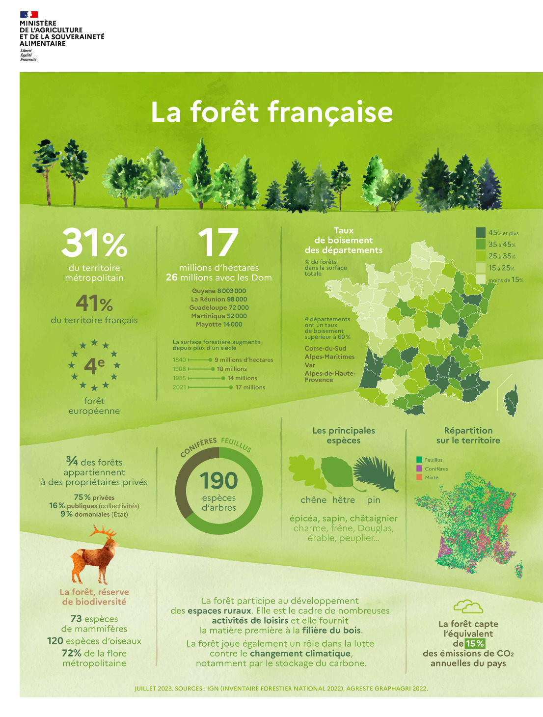 Infographie la forêt française 2023