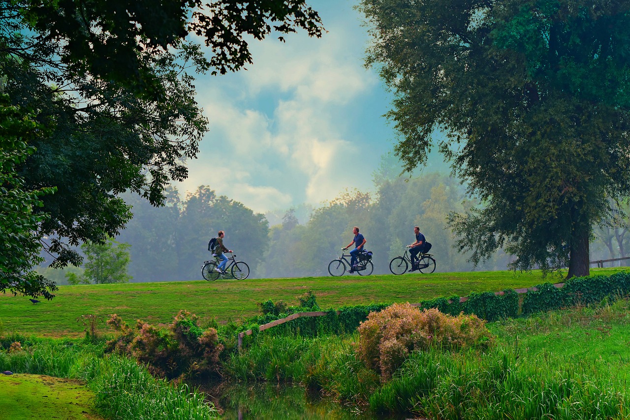 paysage avec vélos