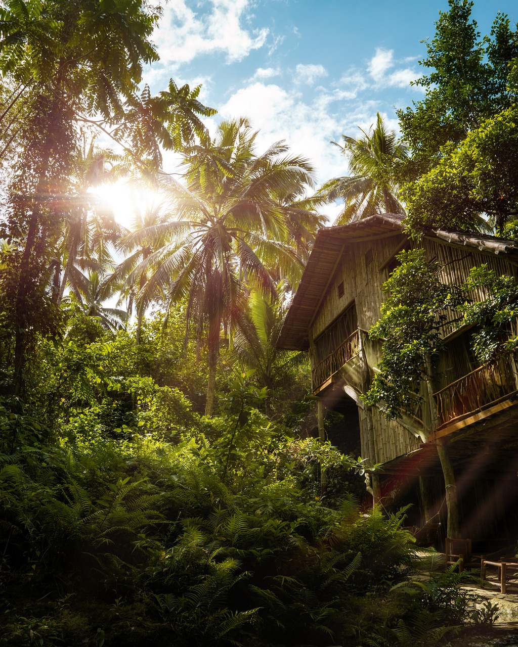 Cabane dans les arbres tropical
