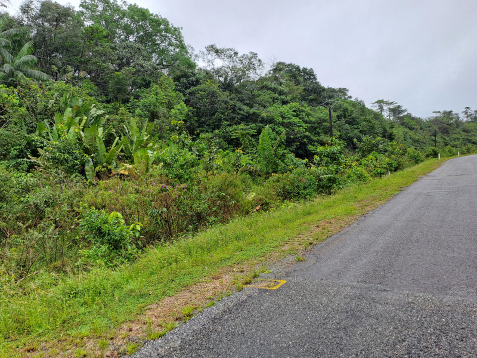 Dpt Guyane Vendre Terrain Terrain De M Ma