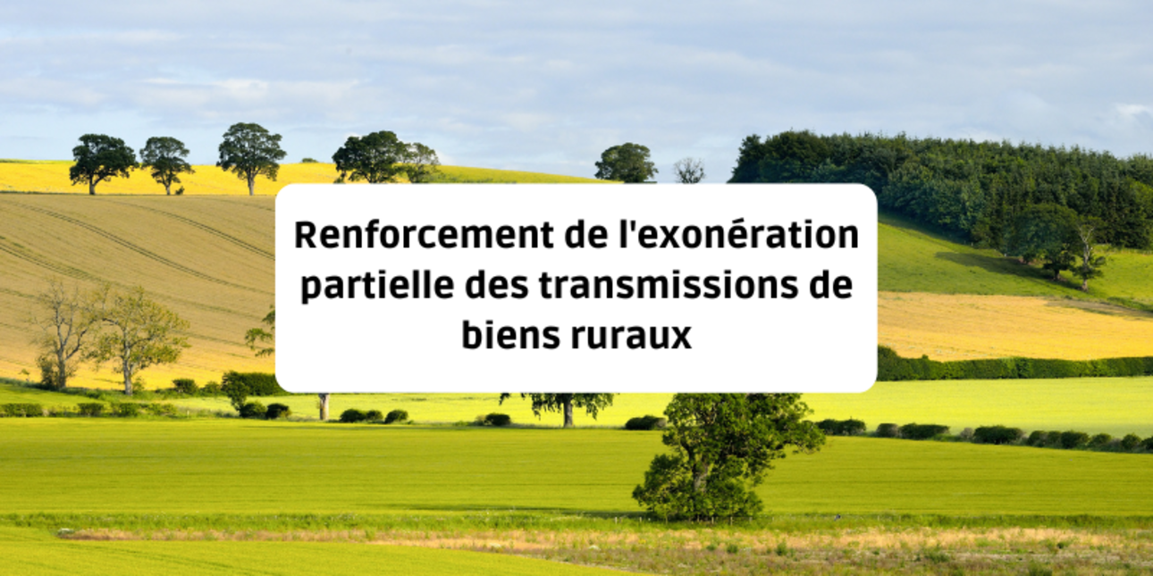 Reinforcement of the partial exemption for transfers of rural property