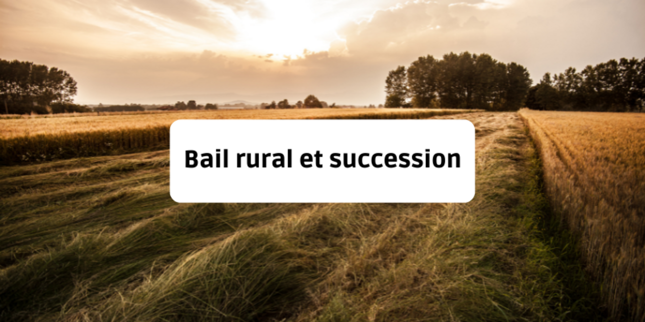 Bail rural et succession