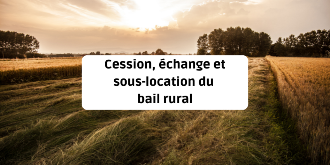 Cession, échange et sous-location du bail rural