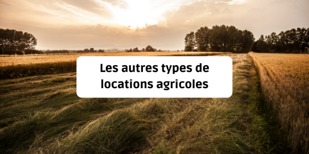 Les autres types de locations agricoles