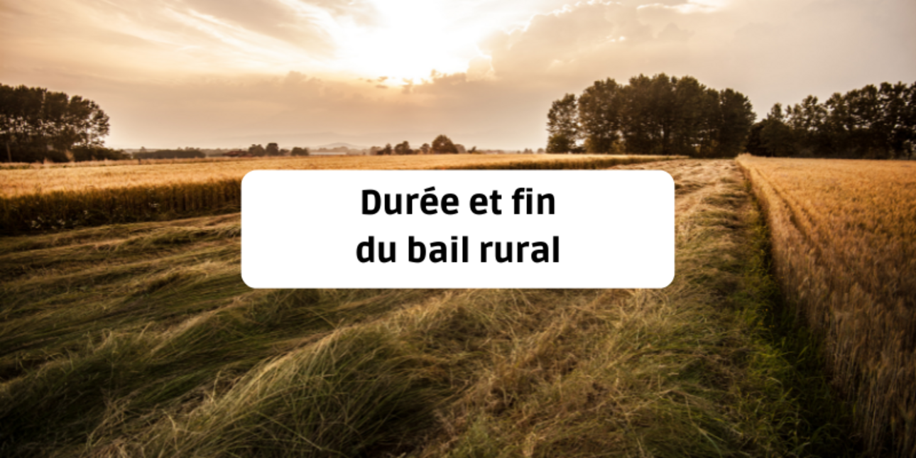 Duration and end of the rural lease