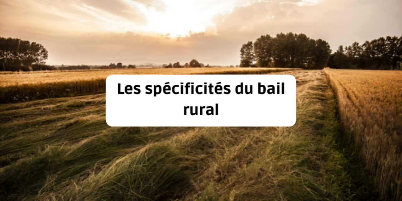 The specificities of the rural lease