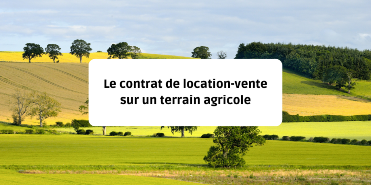 Le contrat de location-vente sur un terrain agricole