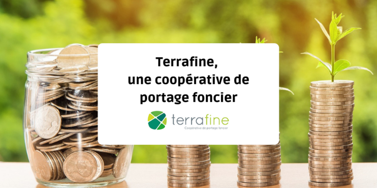 Terrafine, a land portage cooperative