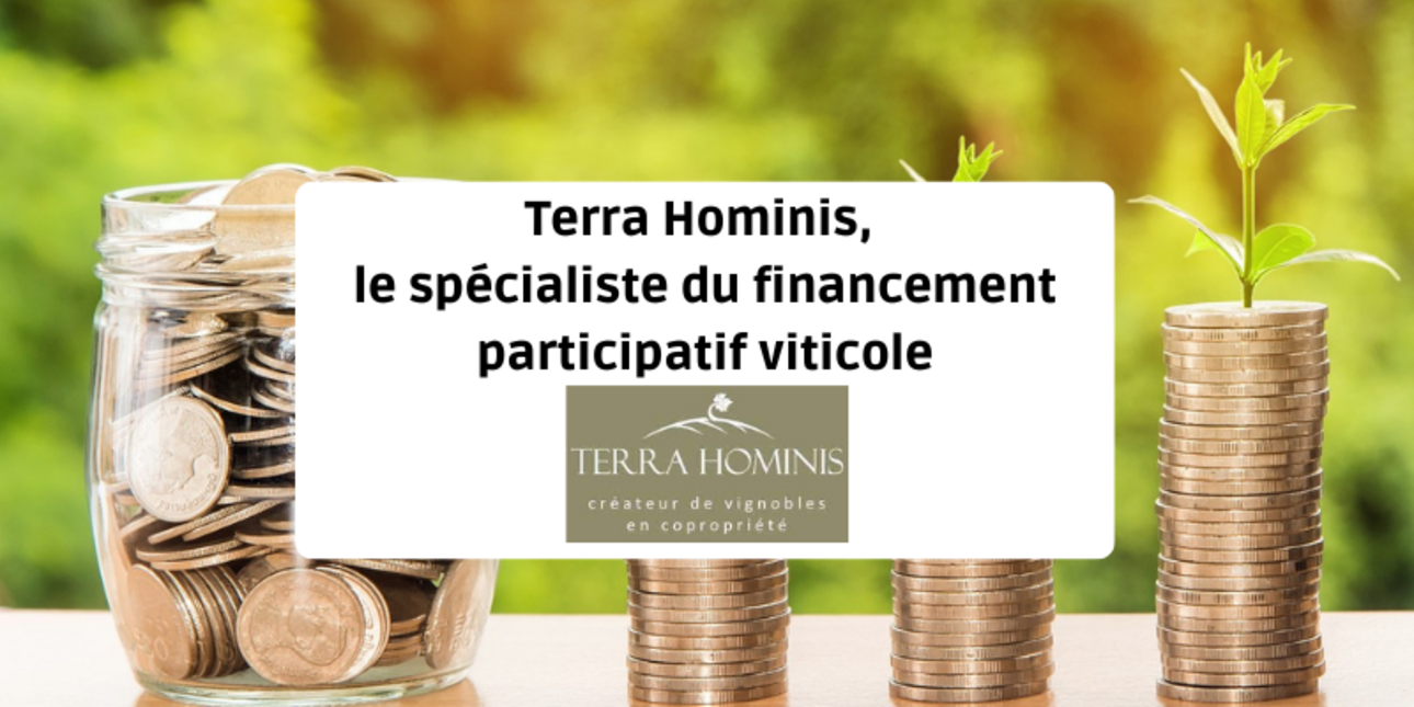 Terra Hominis, the specialist in participatory wine financing