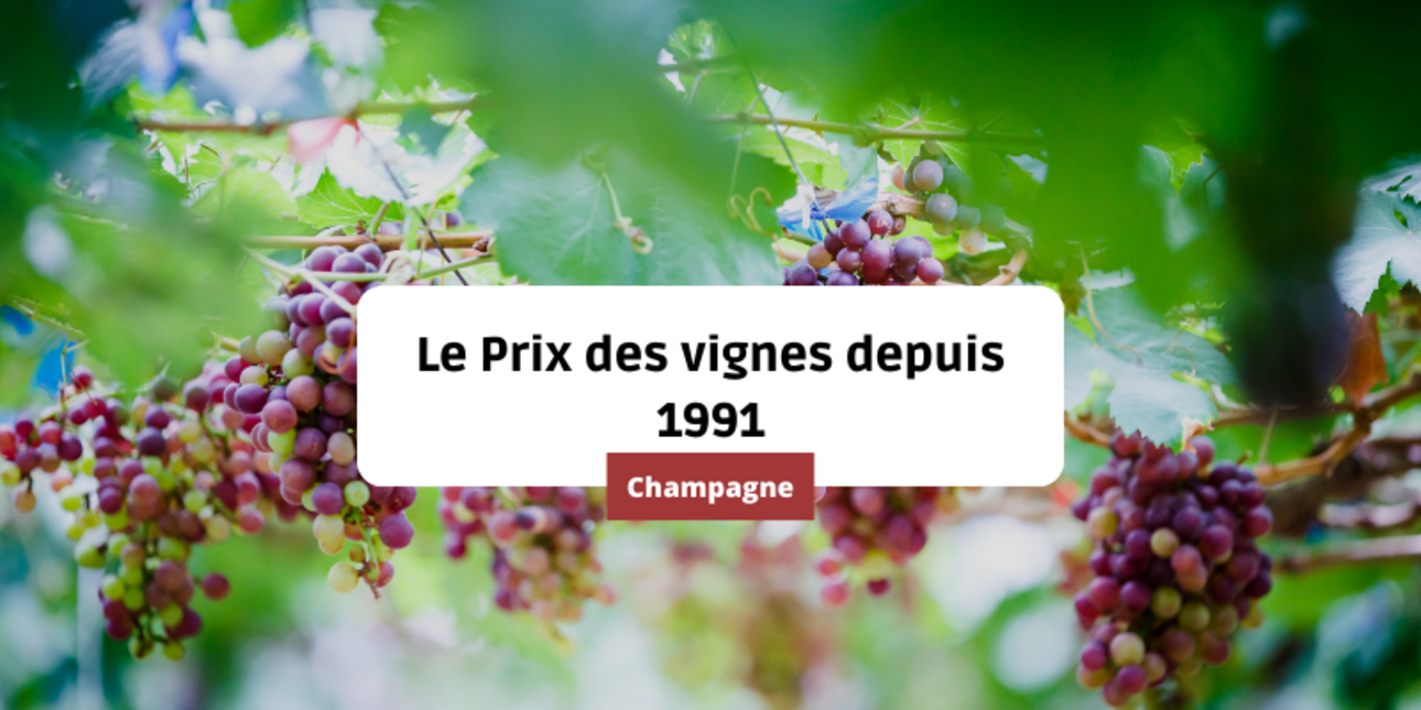Le prix des vignes en Champagne depuis 1991