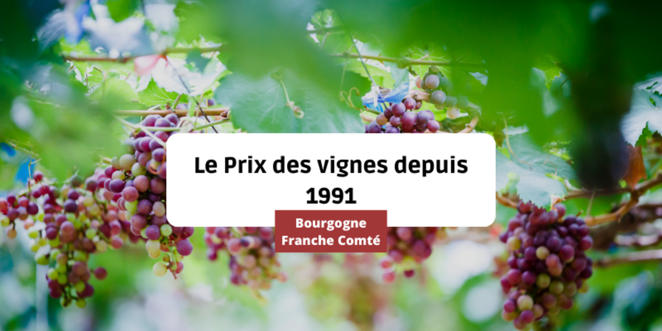 Le prix des vignes en Bourgogne Franche Comté depuis 1991