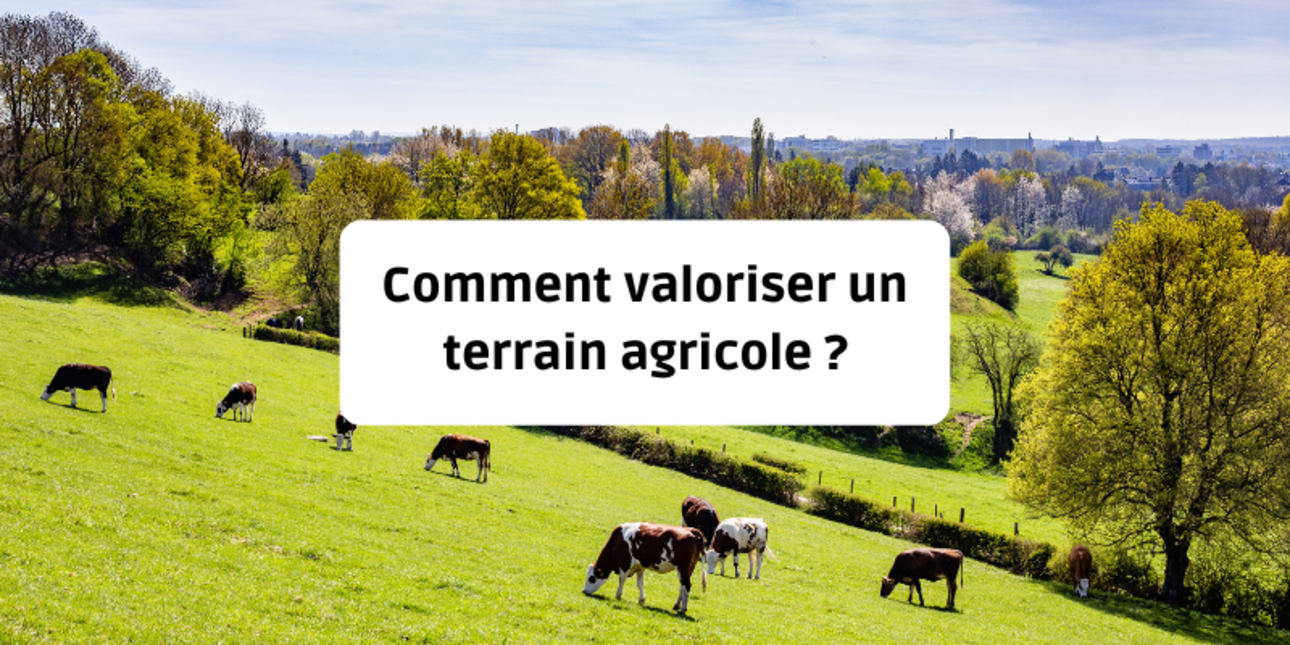 Comment valoriser un terrain agricole ?