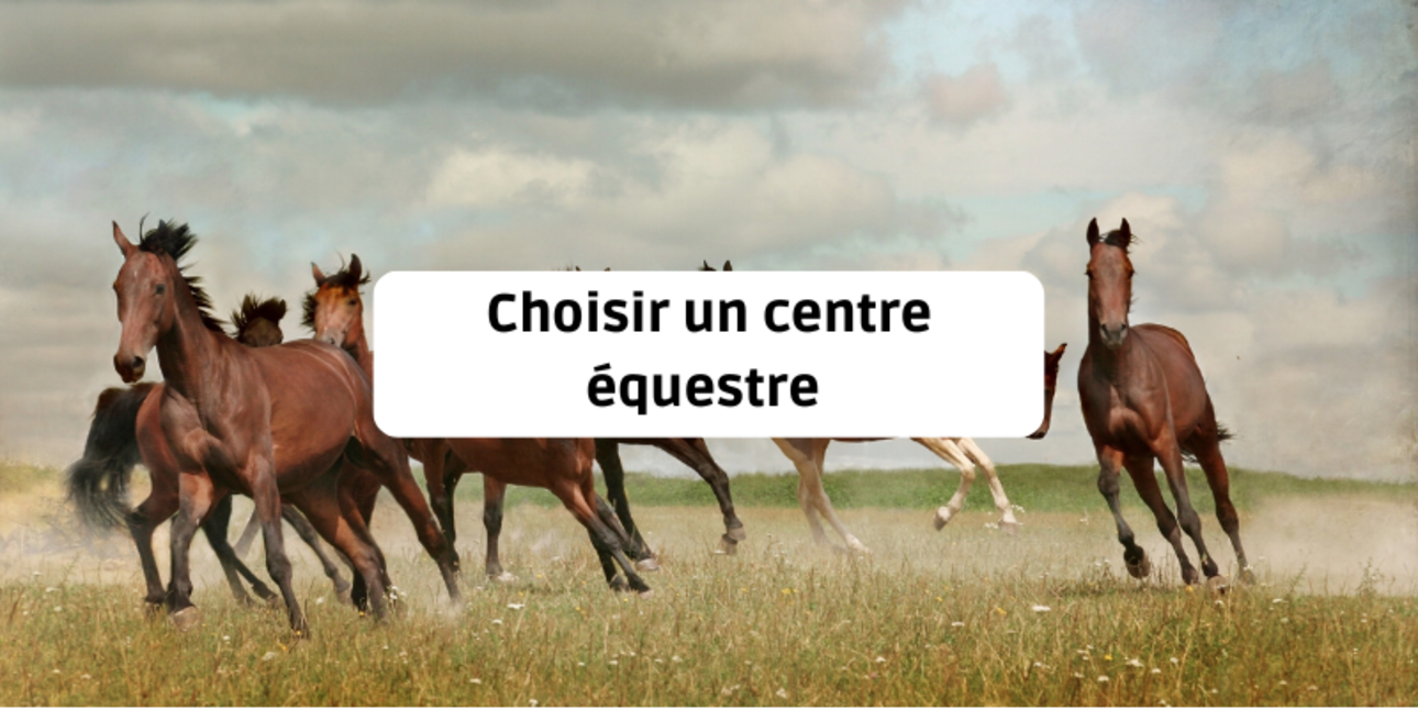 Choosing a riding school