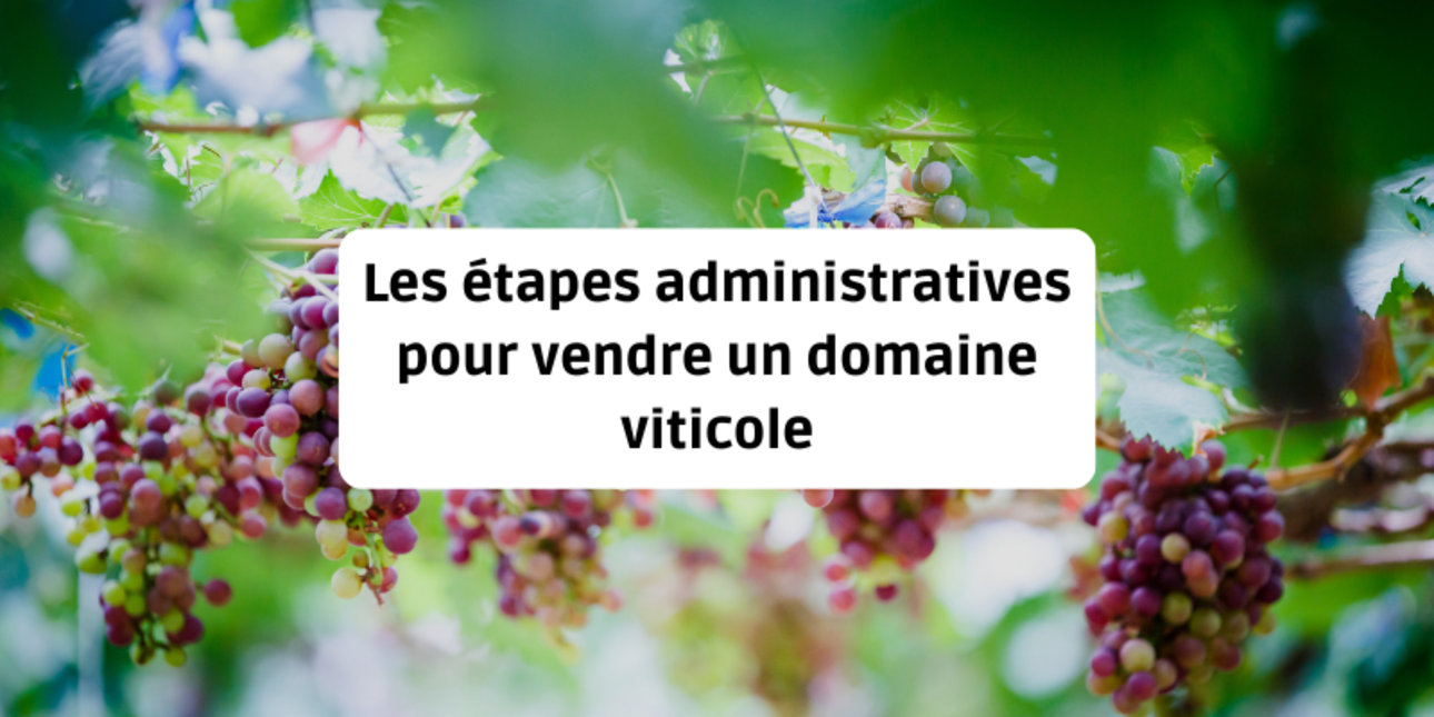 The administrative steps involved in selling a wine estate