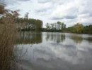 Vignette - Forestière - Propriété de 16 Ha avec deux étangs