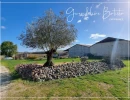 Vignette - Tourist - Close to EYMET Property 300m² with gîte - Land of 13 Ha - Outbuildings