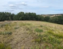 Vignette - Foncière - Terrain non constructible