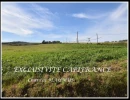 Vignette - Land - Dpt Hautes Pyrénées (65), for sale near Madiran irrigated agricultural land