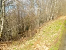 Vignette - Forestière - Forêt mixte de Douglas et feuillus de 10Ha dans le Lot