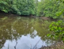 Vignette - Forest - Propriété de 1,6 ha avec bois et étang en Sarthe