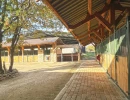 Vignette - Equestrian - Var - Splendid equestrian property benefiting from high-end services