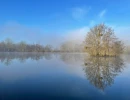 Vignette - Foncière - Propriété de loisirs de 8,5 ha dont un étang d’environ 4 ha-à vendre dans l’Aisne (02)