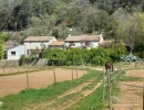 Vignette - Équestre - PROPRIETE EQUESTRE DE 8 HECTARES A CABASSE DANS LE VAR