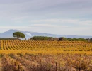 Vignette - Prestige - Au pied du Ventoux, une villa de charme avec vue