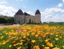 Vignette - Prestige - Château du XVIIo avec piscine et étang sur plus de 23 hectar