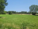 Vignette - Land - Dpt Gard (30), à vendre SAINT CHRISTOL LES ALES terrain agricole 5 parcelles pour un total de 26180m² environ avec forage