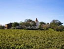 Vignette - Prestigious - Vineyard