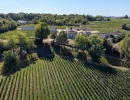 Vignette - Vineyard - BEAUTIFUL WINE PROPERTY IN THE SATELLITE OF SAINT EMILION - 34 HA ORGANIC