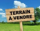 Vignette - Land - Dpt Guadeloupe (971), à vendre SAINTE ANNE terrain