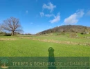 Vignette - Foncière - Terrain agricole