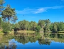 Vignette - Forestière - Dpt Nord (59), à vendre proche de LILLE propriété avec 2 habitations, étang de pêche, bois et hutte de chasse