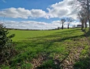 Vignette - Foncière - Parcelles rurales - Secteur CASTANET (12)