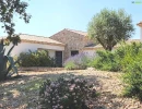 Vignette - Viticole - VAR - TOURVES  VILLA CONTEMPORAINE DOMINANTE  2 HECTARES IDEAL ELEVAGE CHIENS