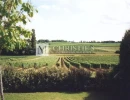 Vignette - Vineyard - For sale Charming  wine estate of around 7 ha near Saint-Emilion