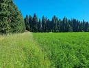 Vignette - Agricole - Dpt Bouches du Rhône (13), à vendre GRAVESON terrain