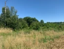 Vignette - Foncière - Dpt Lot et Garonne (47), à vendre BIAS terrain