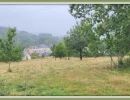 Vignette - Land - Dpt Sarthe (72), for sale SAINT GERMAIN D'ARCE agricultural land 5630 m2