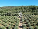 Vignette - Tourist - Small provençal farmhouse