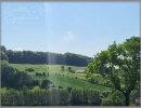 Vignette - Équestre - Terrain agricole sur 6 hectares, bois, sources, compteur électrique et eau, clos, abri animaux, chevaux