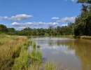 Vignette - Forest - Hunting and Pleasure Estate - Master's House - Hunting Meeting - Keeper's House - Guest House - Farm