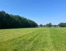 Vignette - Forestière - Propriété agricole et forestière en Sologne