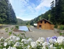 Vignette - Tourist - Dpt Bas-Rhin (67), for sale near SAALES property P5 with CHALET T5 + PARTY HALL + POND / land of 1 h