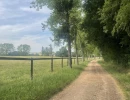 Vignette - Equestrian - Haras d'exception 47ha d'un seul tenant