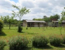 Vignette - Equestrian - PROPRIÉTÉ ÉQUESTRE SUR 2 HA - SECTEUR DE RENNES OUEST (35)