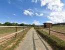 Vignette - Equestrian - STRUCTURE ÉQUESTRE SUR 10,14 HA - SECTEUR DE GUINGAMP (22)