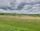 Vignette - Land - Agricultural land